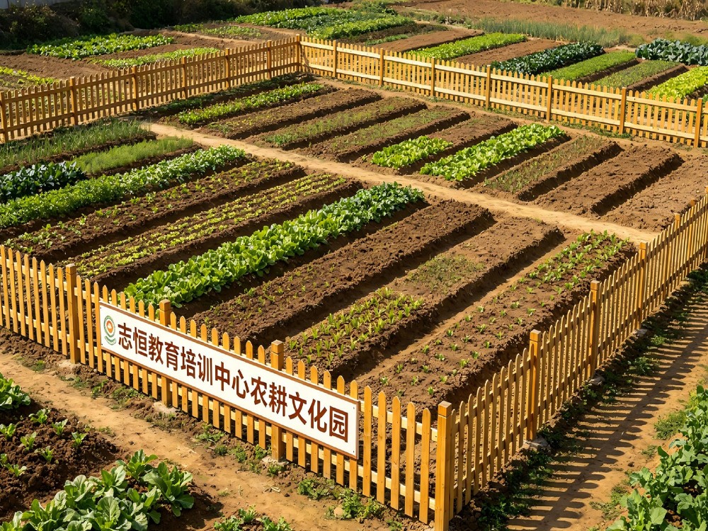 荆门正规全封闭管教学校联系电话与择校指南