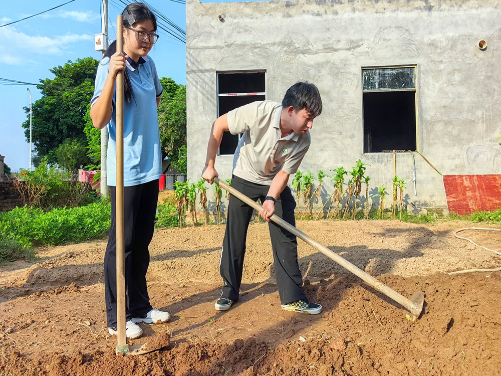 荆门正规叛逆少年培训学校推荐，本地寄宿素质培育机构择校指南